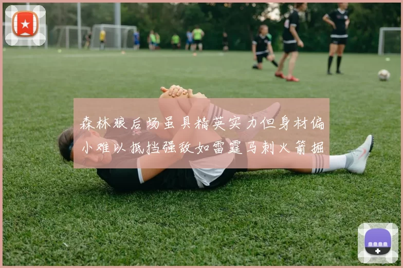 森林狼后场虽具精英实力但身材偏小难以抵挡强敌如雷霆马刺火箭掘金